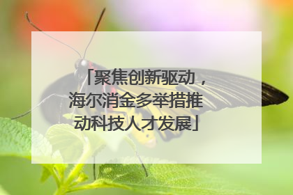 聚焦创新驱动，海尔消金多举措推动科技人才发展