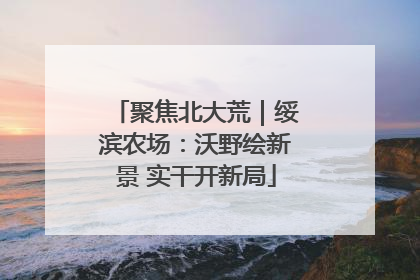 聚焦北大荒｜绥滨农场：沃野绘新景 实干开新局