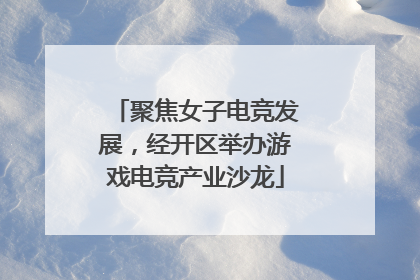 聚焦女子电竞发展，经开区举办游戏电竞产业沙龙