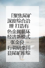聚焦尾矿深度综合治理 打造有色金属循环经济新模式 张金良一行调研栾川县尾矿库综合治理工作