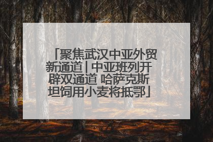 聚焦武汉中亚外贸新通道│中亚班列开辟双通道 哈萨克斯坦饲用小麦将抵鄂