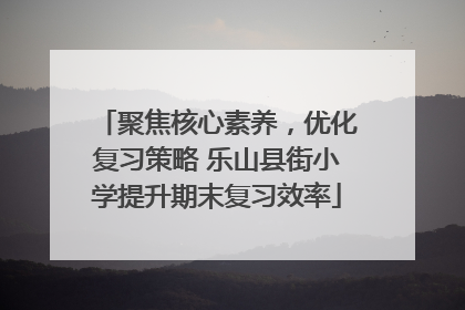 聚焦核心素养，优化复习策略 乐山县街小学提升期末复习效率