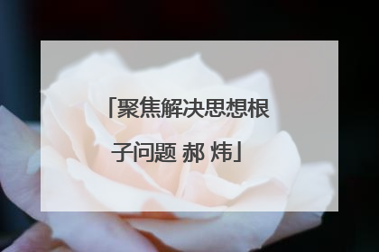 聚焦解决思想根子问题 郝 炜