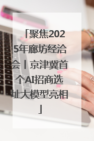 聚焦2025年廊坊经洽会丨京津冀首个AI招商选址大模型亮相