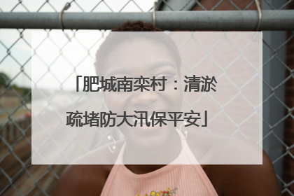 肥城南栾村：清淤疏堵防大汛保平安