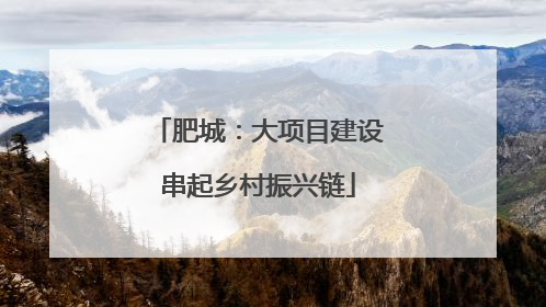 肥城：大项目建设串起乡村振兴链