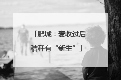 肥城：麦收过后秸秆有“新生”