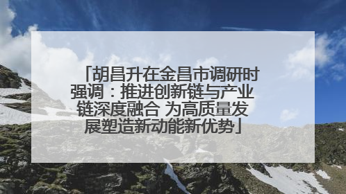 胡昌升在金昌市调研时强调：推进创新链与产业链深度融合 为高质量发展塑造新动能新优势