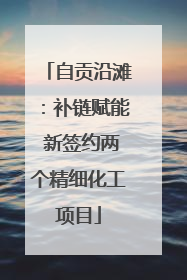 自贡沿滩：补链赋能 新签约两个精细化工项目