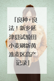 良种+良法！新乡延津县试验田小麦刷新黄淮麦区高产记录