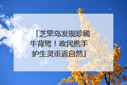 芝罘岛发现珍稀牛背鹭！政民携手护生灵重返自然
