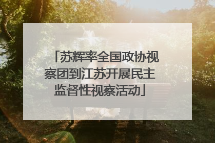 苏辉率全国政协视察团到江苏开展民主监督性视察活动