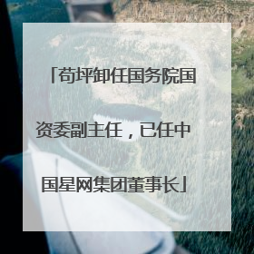 苟坪卸任国务院国资委副主任，已任中国星网集团董事长