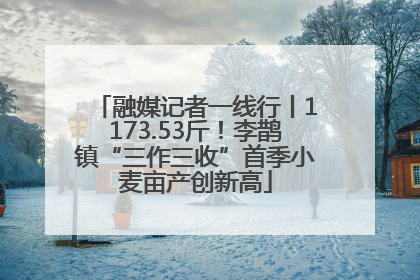 融媒记者一线行丨1173.53斤！李鹊镇“三作三收”首季小麦亩产创新高