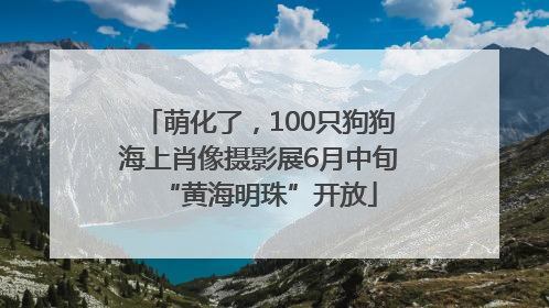萌化了，100只狗狗海上肖像摄影展6月中旬“黄海明珠”开放