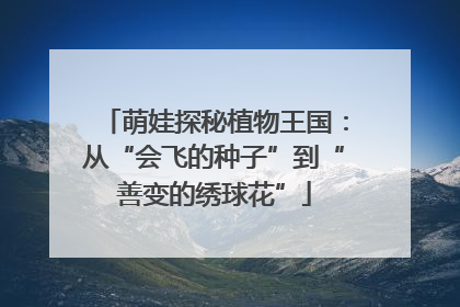 萌娃探秘植物王国：从“会飞的种子”到“善变的绣球花”