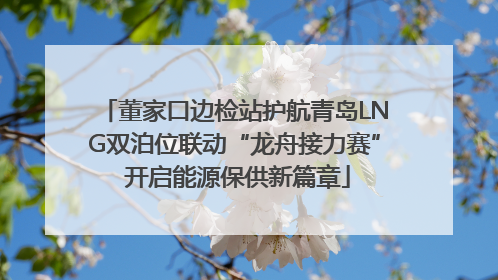 董家口边检站护航青岛LNG双泊位联动“龙舟接力赛” 开启能源保供新篇章
