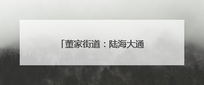 董家街道：陆海大通道释放“黄金效应”