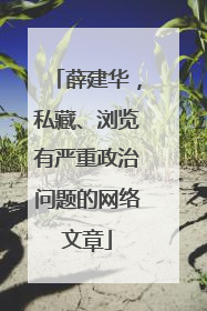 薛建华，私藏、浏览有严重政治问题的网络文章