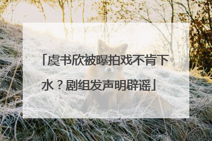 虞书欣被曝拍戏不肯下水？剧组发声明辟谣