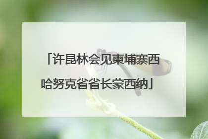 许昆林会见柬埔寨西哈努克省省长蒙西纳