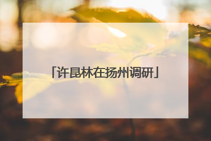 许昆林在扬州调研