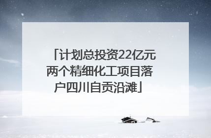 计划总投资22亿元 两个精细化工项目落户四川自贡沿滩