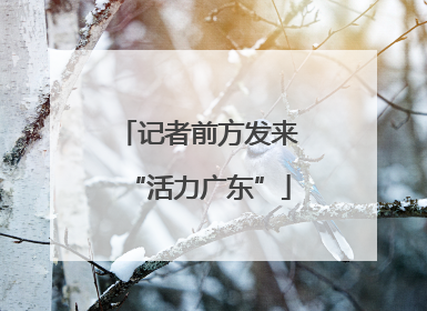 记者前方发来“活力广东”