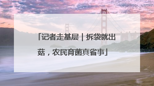 记者走基层｜拆袋就出菇，农民育菌真省事