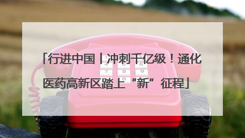 行进中国丨冲刺千亿级！通化医药高新区踏上“新”征程