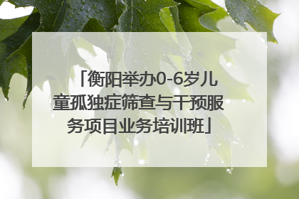 衡阳举办0-6岁儿童孤独症筛查与干预服务项目业务培训班