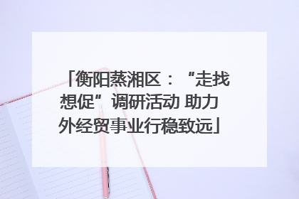 衡阳蒸湘区：“走找想促”调研活动 助力外经贸事业行稳致远