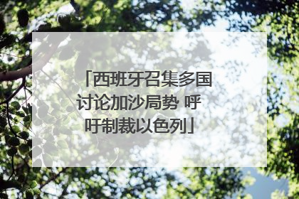 西班牙召集多国讨论加沙局势 呼吁制裁以色列