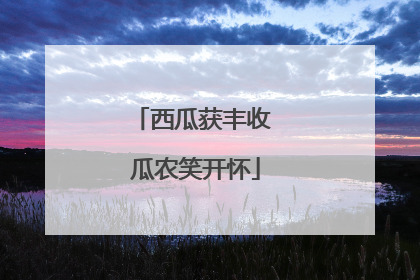 西瓜获丰收 瓜农笑开怀