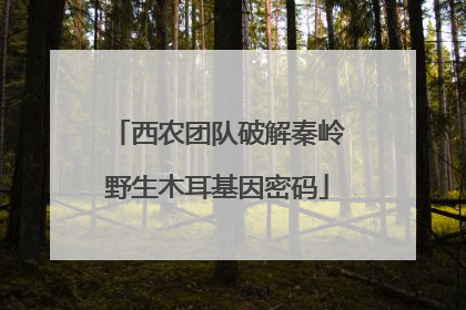西农团队破解秦岭野生木耳基因密码