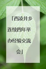 西凌井乡连续四年举办经验交流会