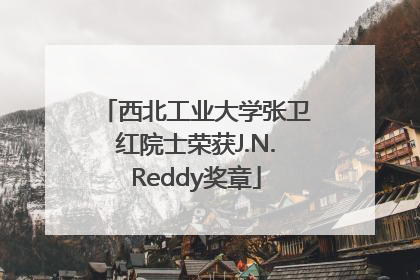 西北工业大学张卫红院士荣获J.N.Reddy奖章