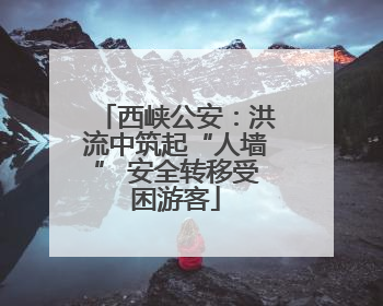 西峡公安：洪流中筑起“人墙” 安全转移受困游客