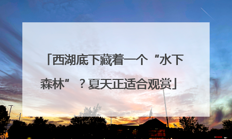 西湖底下藏着一个“水下森林”？夏天正适合观赏