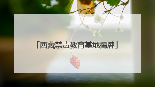 西藏禁毒教育基地揭牌