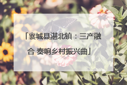 襄城县湛北镇：三产融合 奏响乡村振兴曲