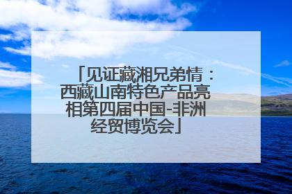 见证藏湘兄弟情：西藏山南特色产品亮相第四届中国-非洲经贸博览会
