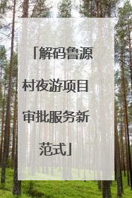 解码鲁源村夜游项目审批服务新范式