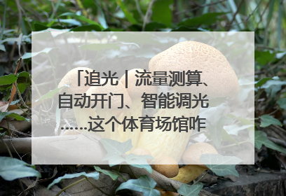 追光｜流量测算、自动开门、智能调光……这个体育场馆咋这么先进？