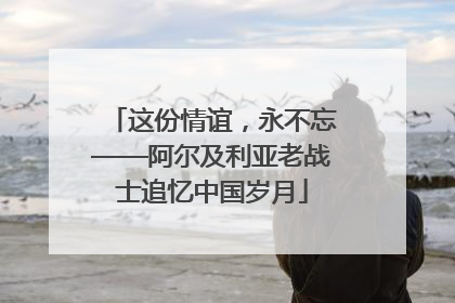 这份情谊，永不忘——阿尔及利亚老战士追忆中国岁月