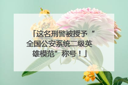 这名刑警被授予“全国公安系统二级英雄模范”称号！