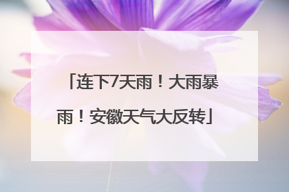 连下7天雨！大雨暴雨！安徽天气大反转
