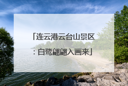 连云港云台山景区：白鹭翩翩入画来
