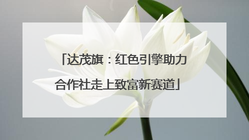达茂旗：红色引擎助力合作社走上致富新赛道