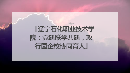辽宁石化职业技术学院：党建联学共建，政行园企校协同育人